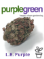 Preview: CBD Buds Blüten legal online kaufen Österreich Deutschland legal Bayern Linz Wien Preview: CBD Buds Blüten legal online kaufen Österreich Deutschland legal Bayern Linz Wien