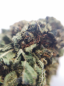 Preview: CBD Buds Blüten legal online kaufen Österreich Deutschland legal Bayern Linz Wien Preview: CBD Buds Blüten legal online kaufen Österreich Deutschland legal Bayern Linz Wien