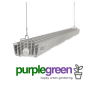 Preview: sanlight-s-4w-led-modul-140-watt-purplegreen Preview: sanlight-s-4w-led-modul-140-watt-purplegreen