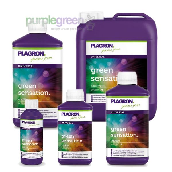 Plagron Green Sensation 1 Liter purplegreen Linz Plagron Green Sensation 1 Liter purplegreen Linz