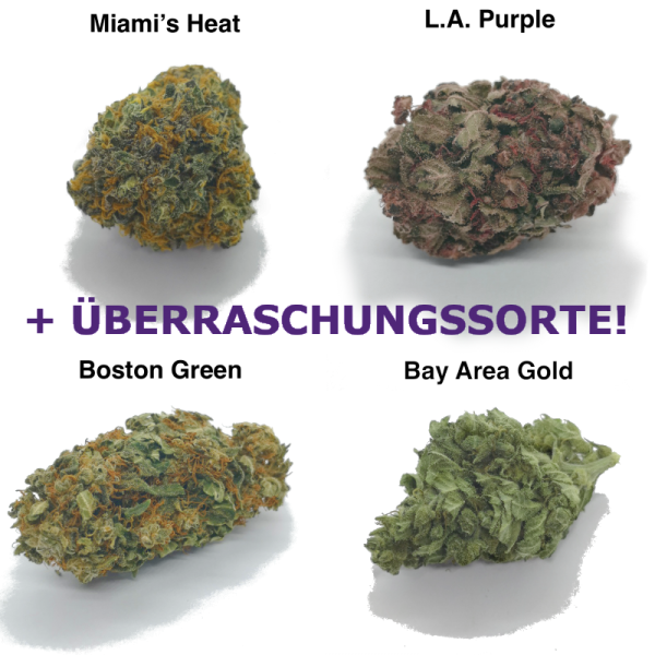 CBD Blüten Probeset 420 4ever von purplegreen CBD Blüten Probeset 420 4ever von purplegreen