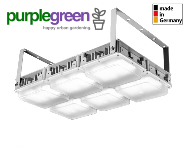 Bioledex GoLeaf Q6 LED Pflanzenlampe 350W - Effizientes Wachstum - Vollspektrum Grow Pflanzenleuchte Bioledex GoLeaf Q6 LED Pflanzenlampe 350W - Effizientes Wachstum - Vollspektrum Grow Pflanzenleuchte