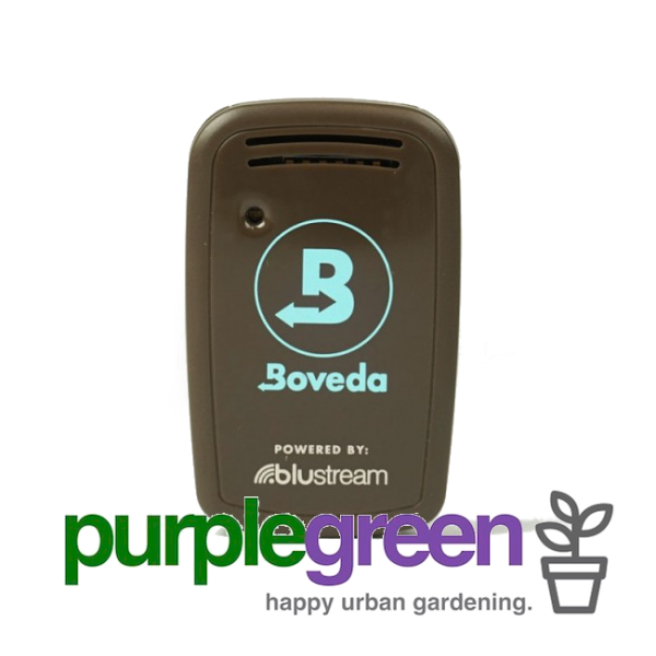 Boveda Butler Smart Sensor purplegreen Linz Boveda Butler Smart Sensor purplegreen Linz