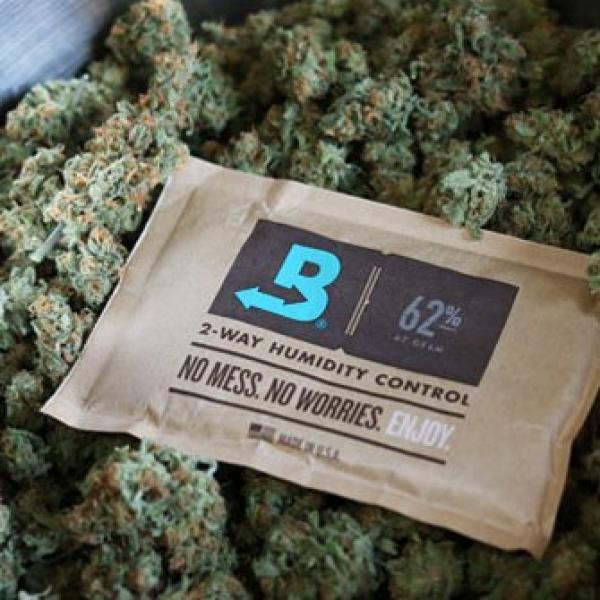 boveda von purplegreen boveda von purplegreen